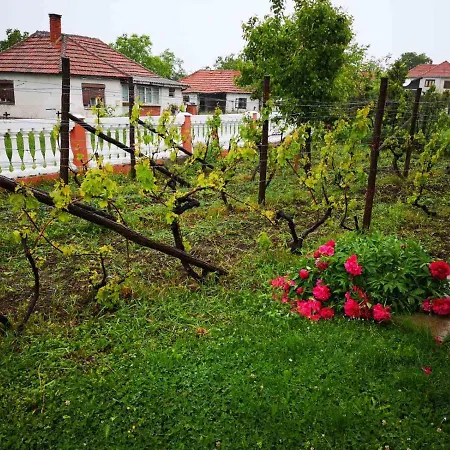 Calane 게스트하우스