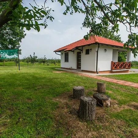 Calane 게스트하우스 *